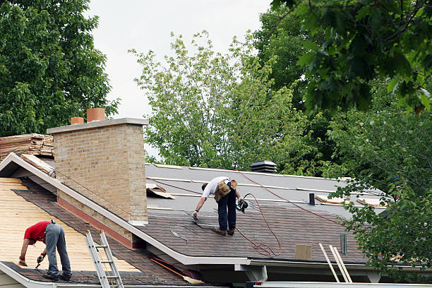 Best Metal Roofing Contractor  in Wilsons Mills, NC