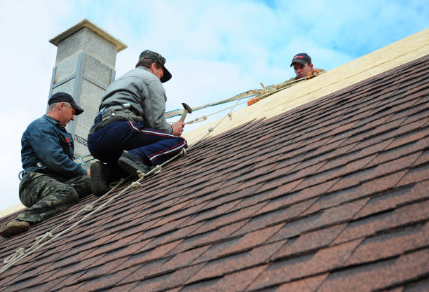 Best Metal Roofing Contractor  in Wilsons Mills, NC