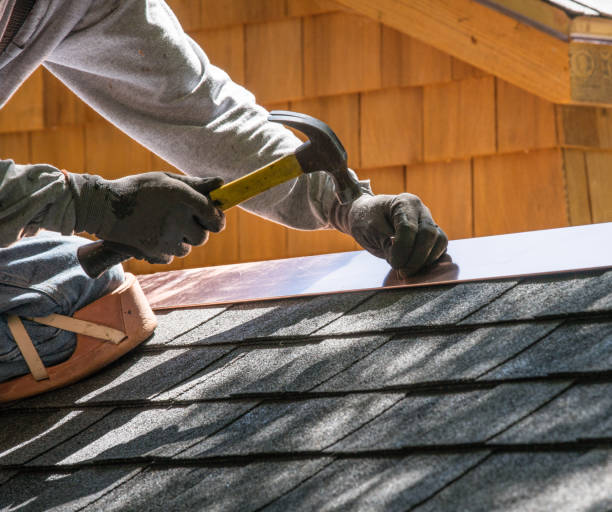 Best Roof Gutter Cleaning  in Wilsons Mills, NC